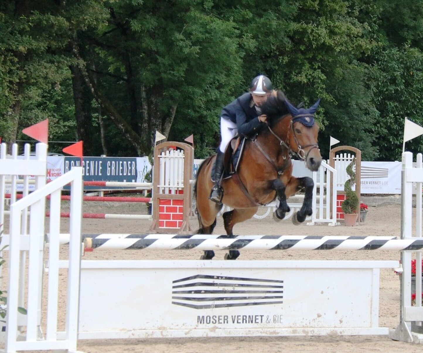 Description de l'image