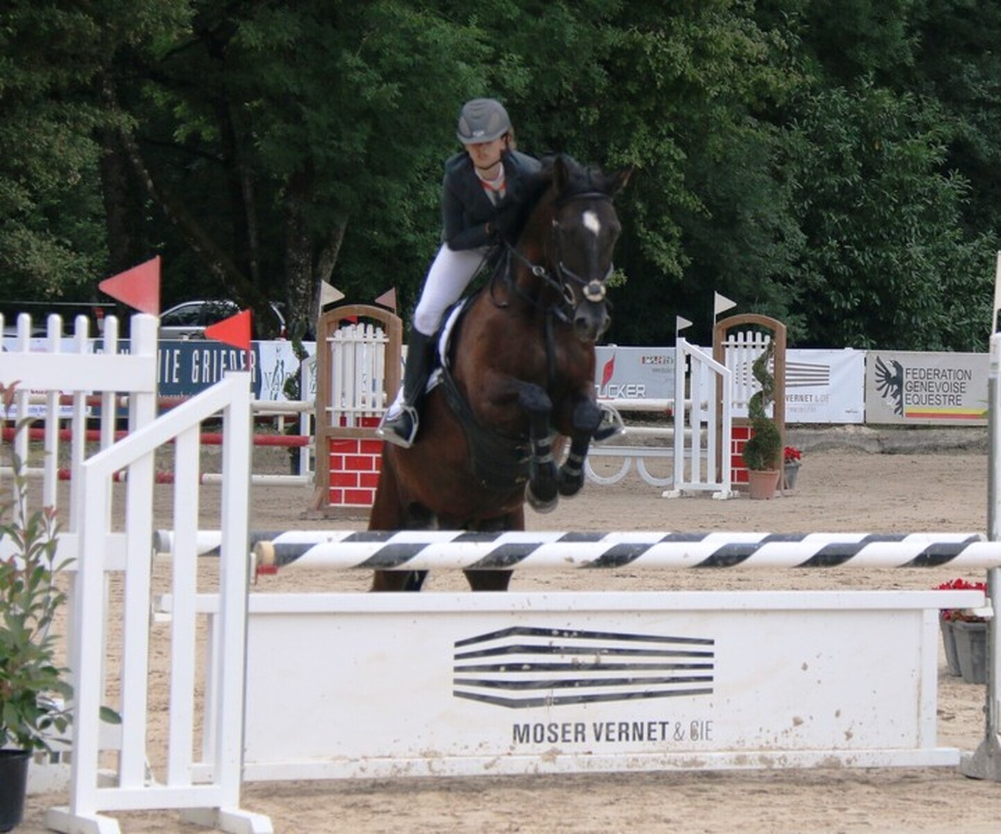 Description de l'image