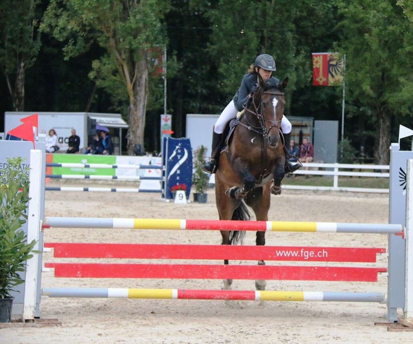 Description de l'image