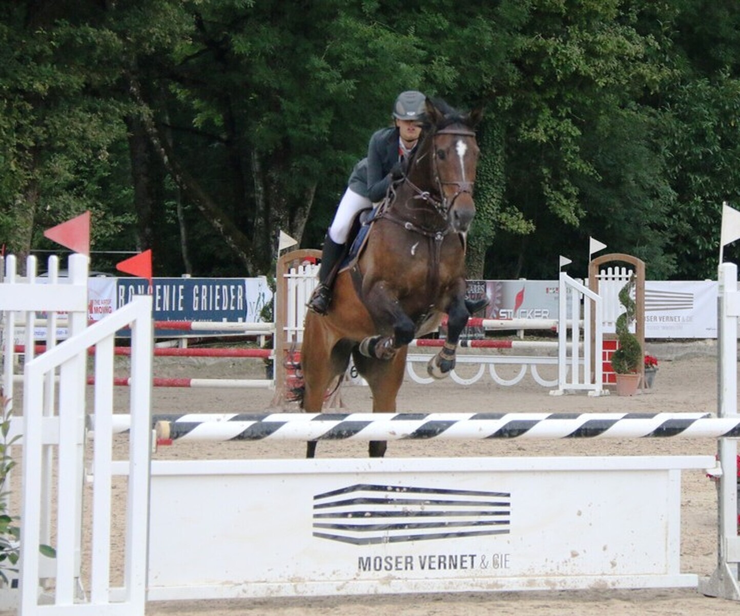 Description de l'image