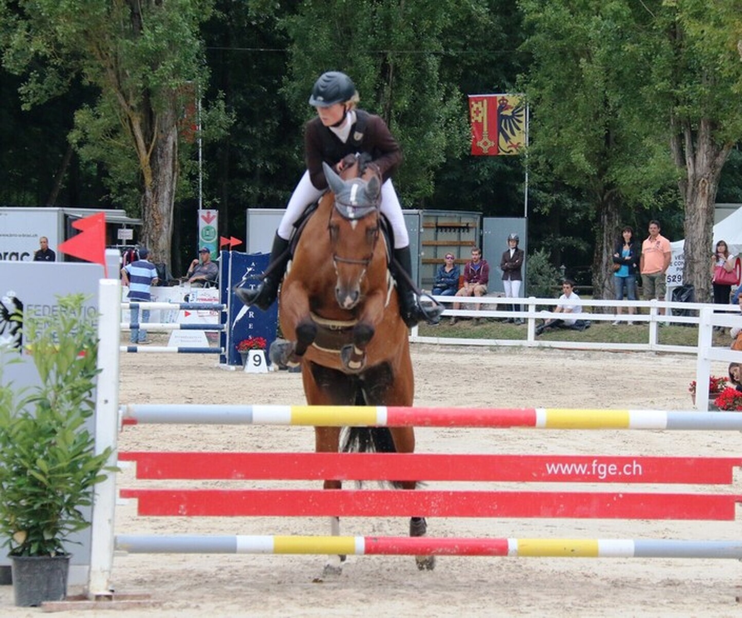 Description de l'image