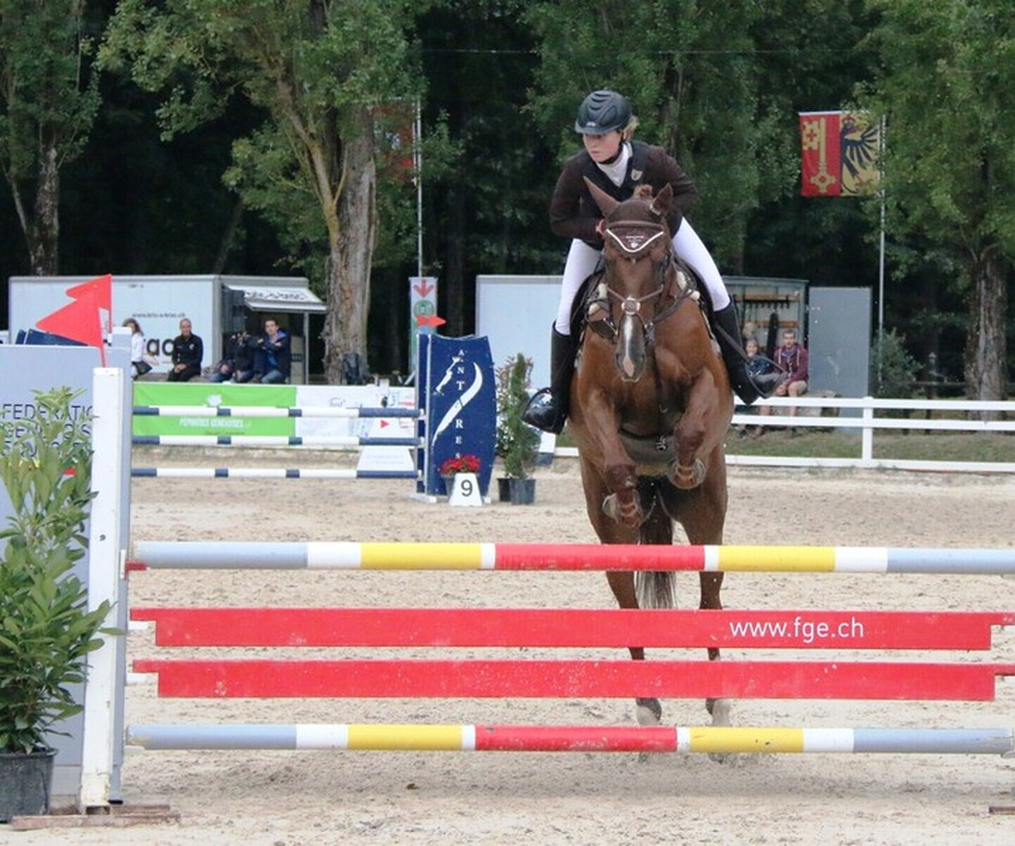 Description de l'image