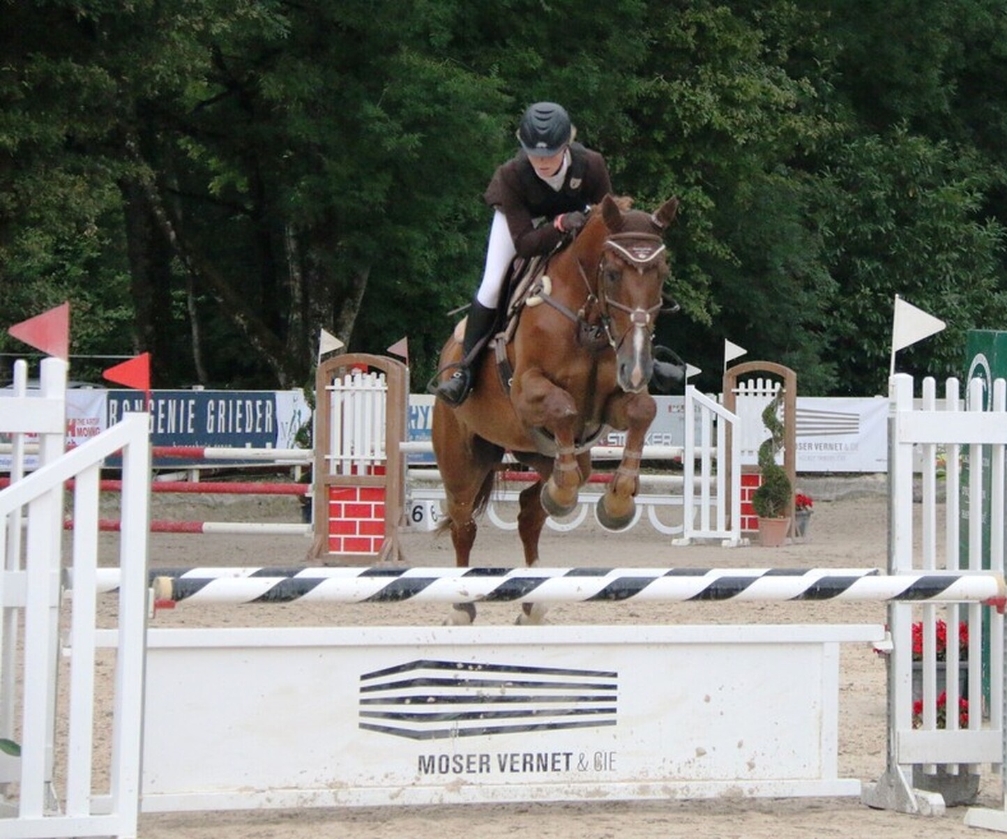 Description de l'image