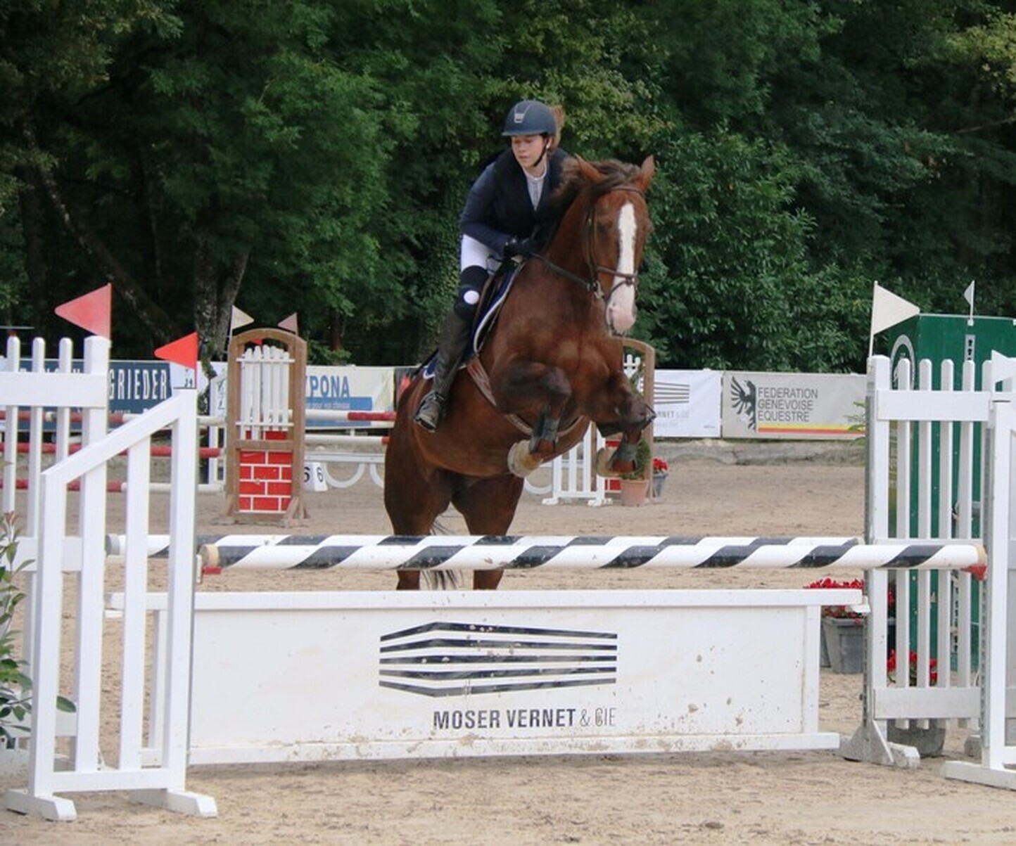 Description de l'image