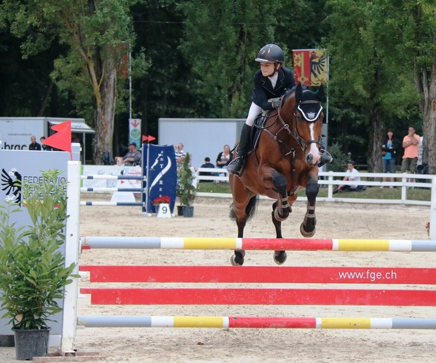 Description de l'image