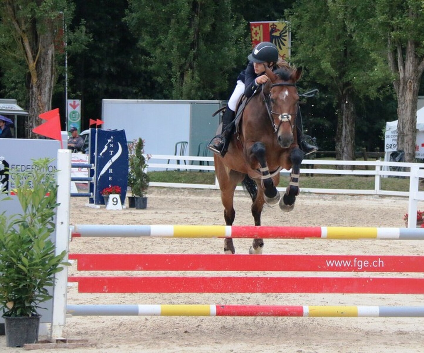 Description de l'image