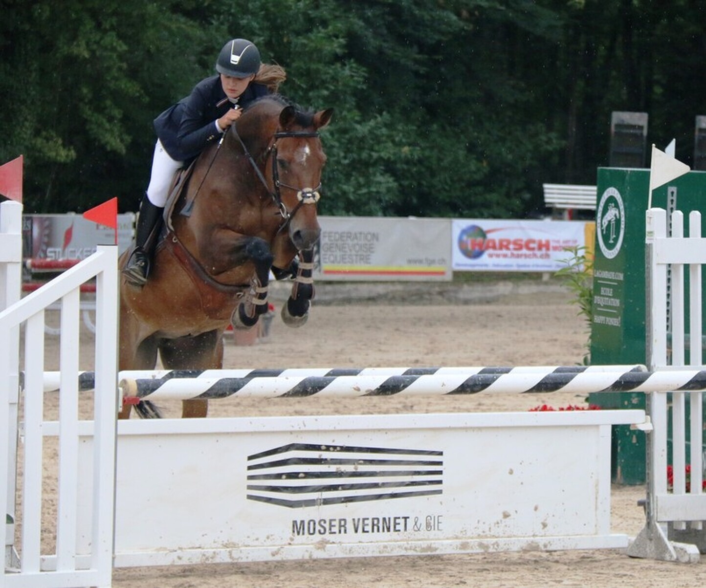 Description de l'image