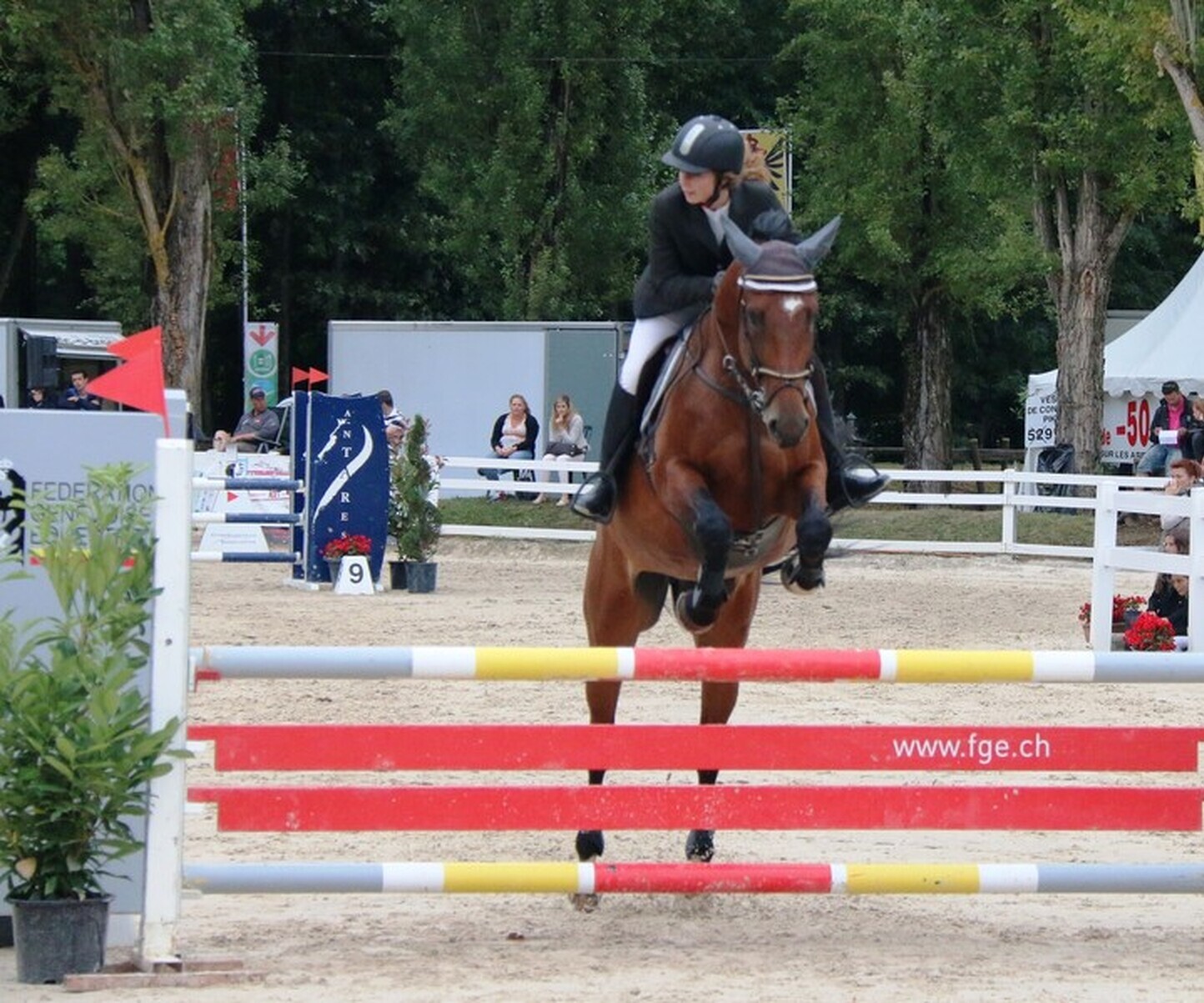 Description de l'image