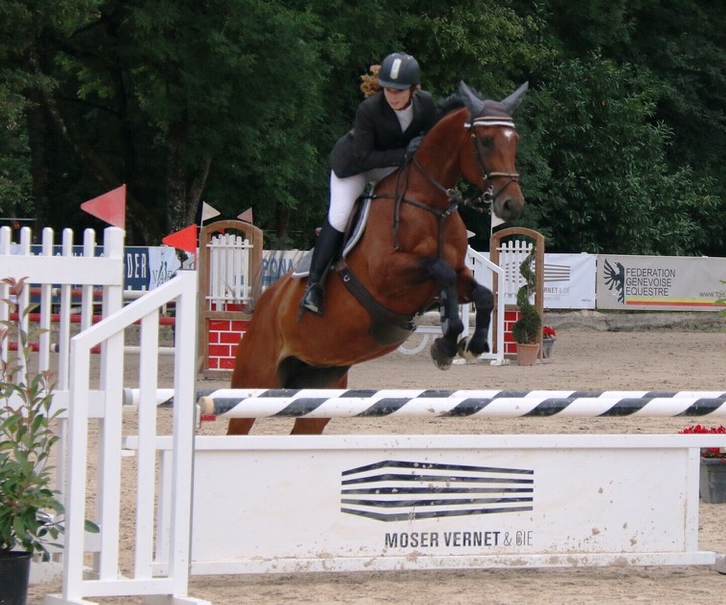 Description de l'image