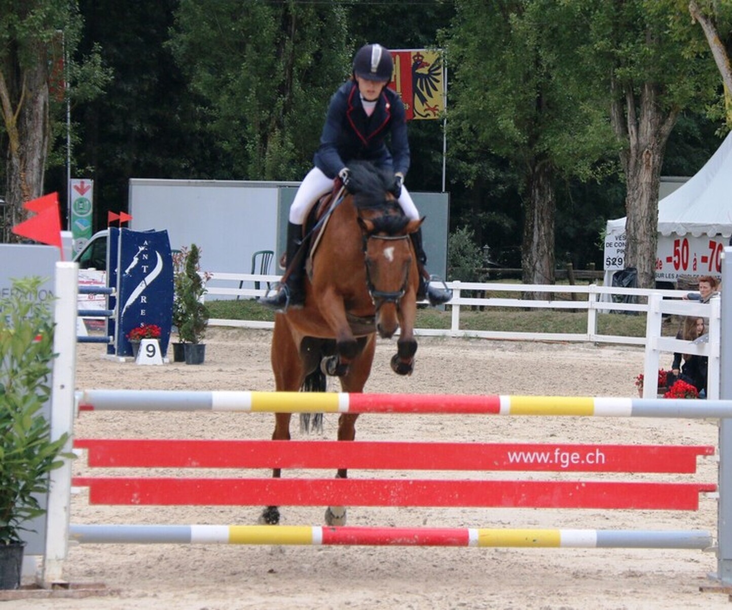 Description de l'image