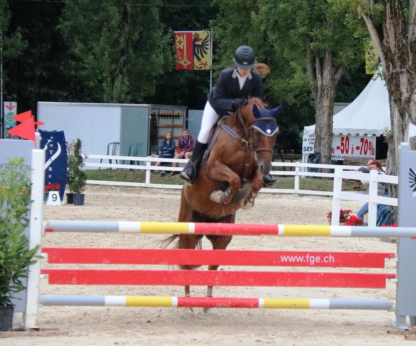 Description de l'image