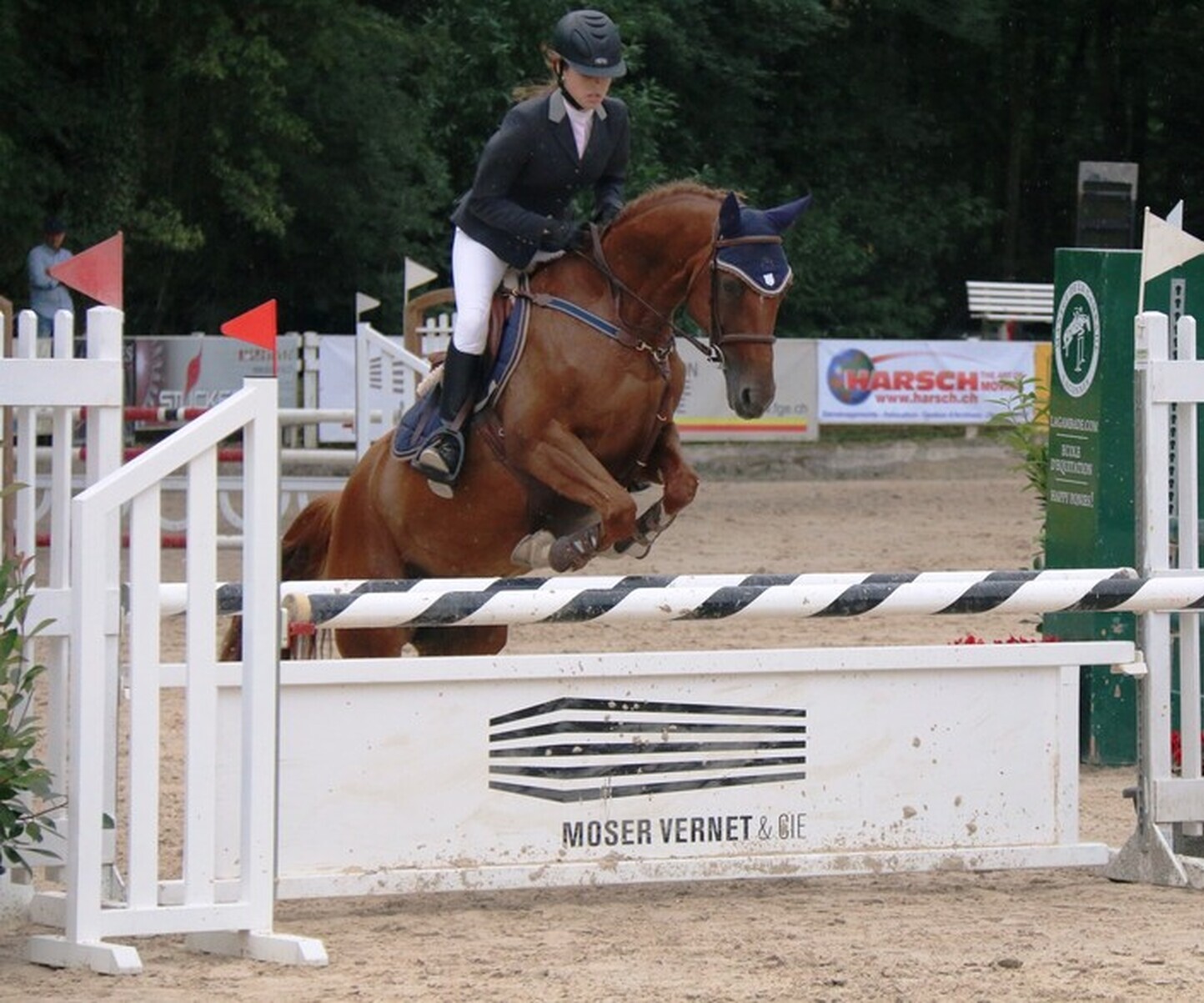 Description de l'image