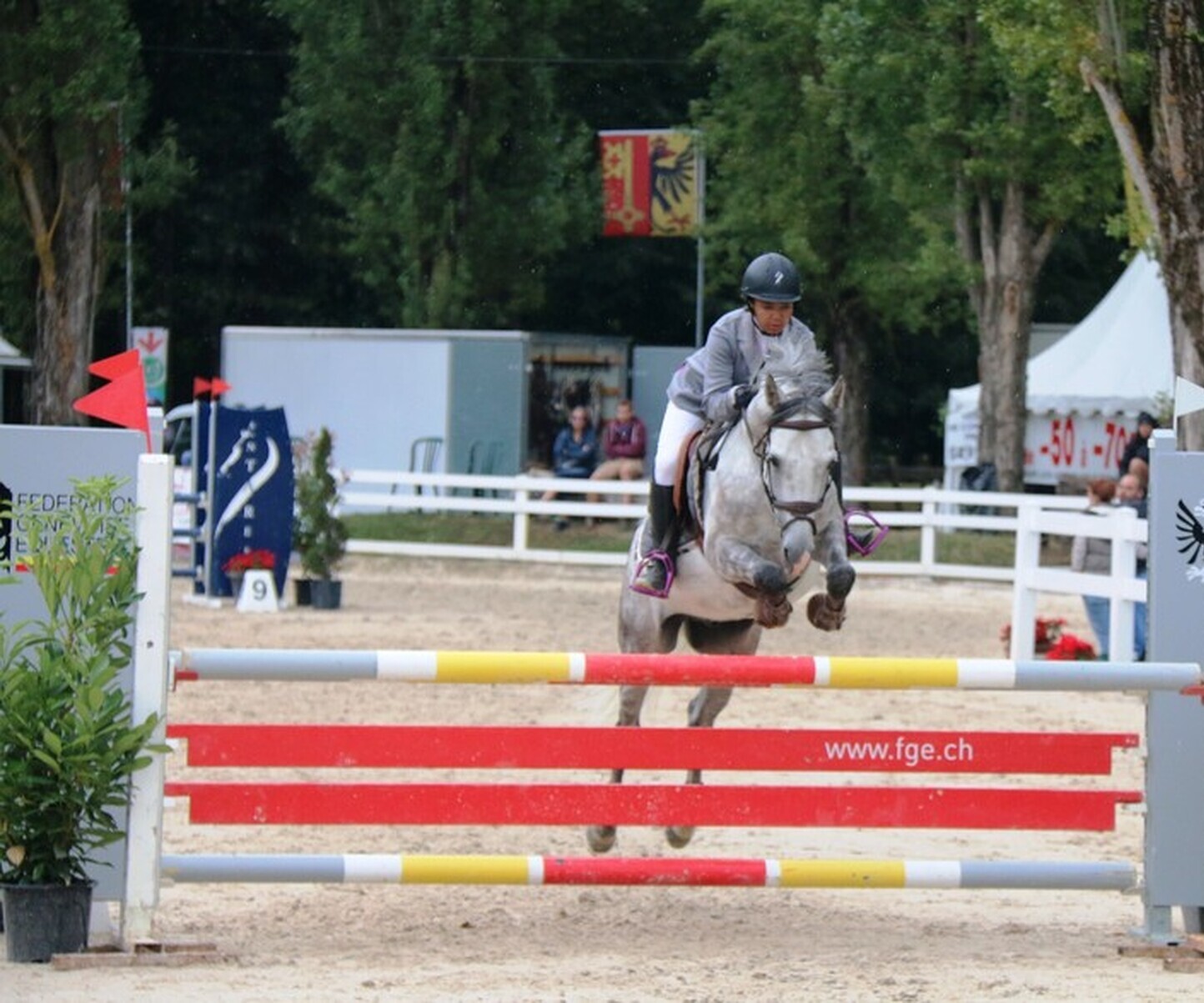 Description de l'image