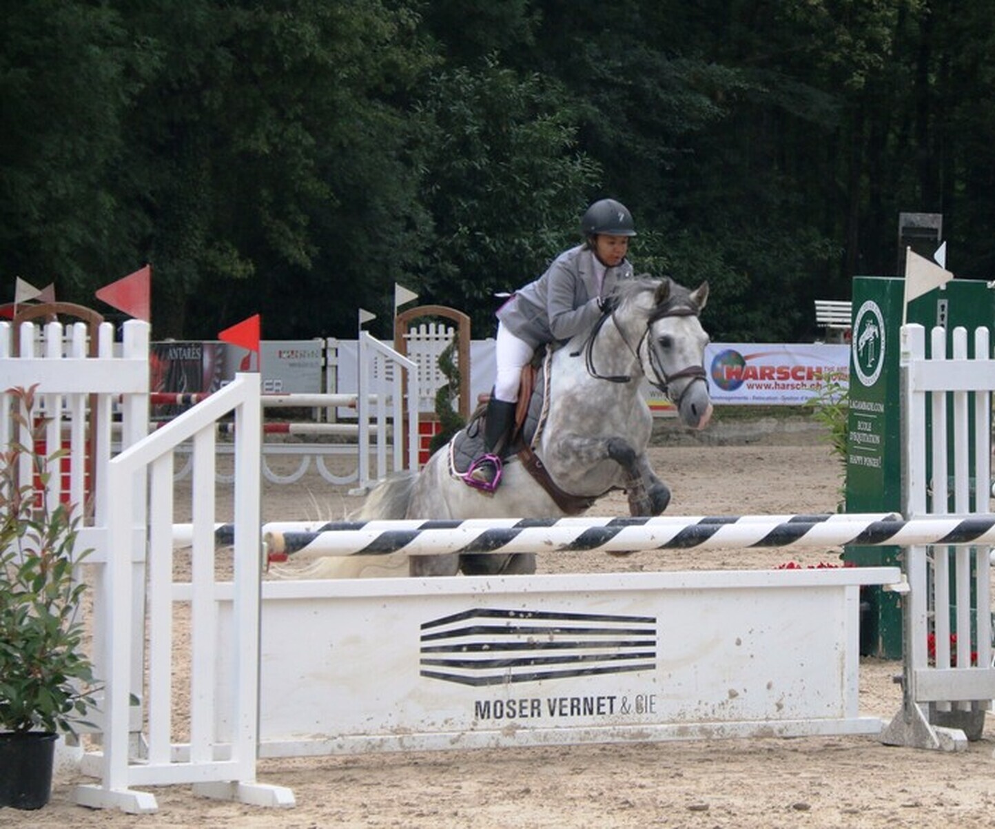 Description de l'image