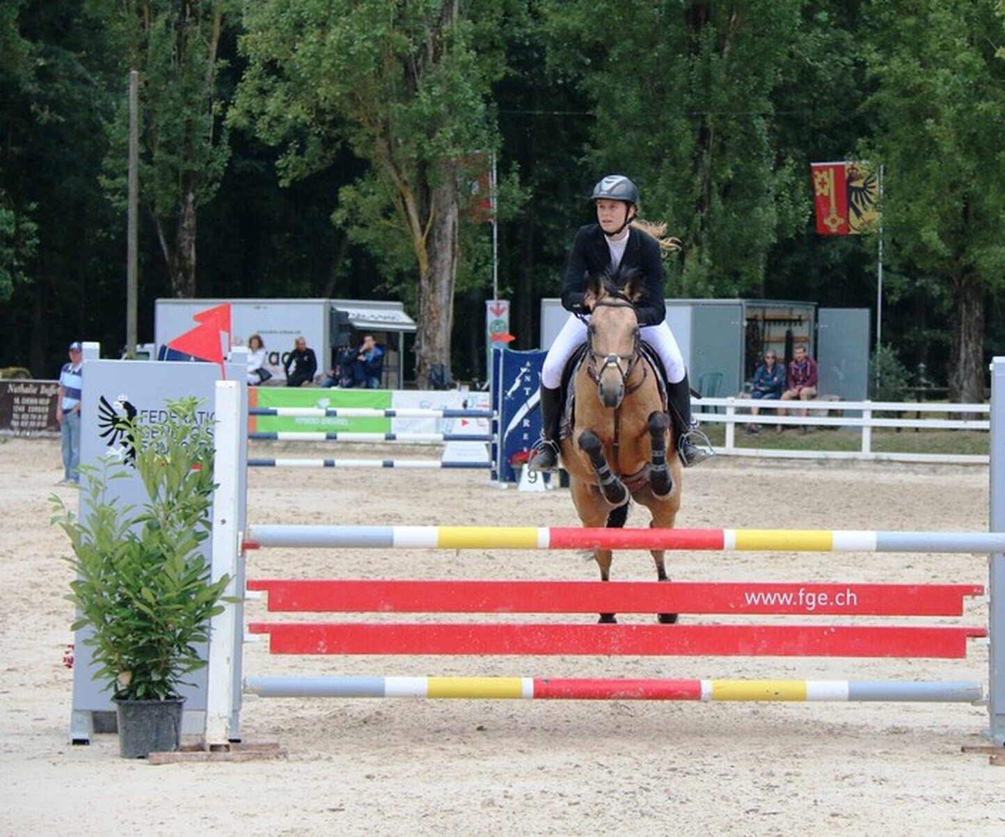 Description de l'image