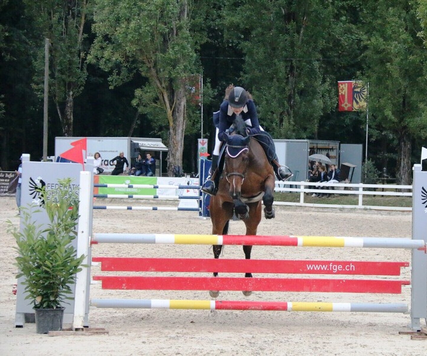 Description de l'image