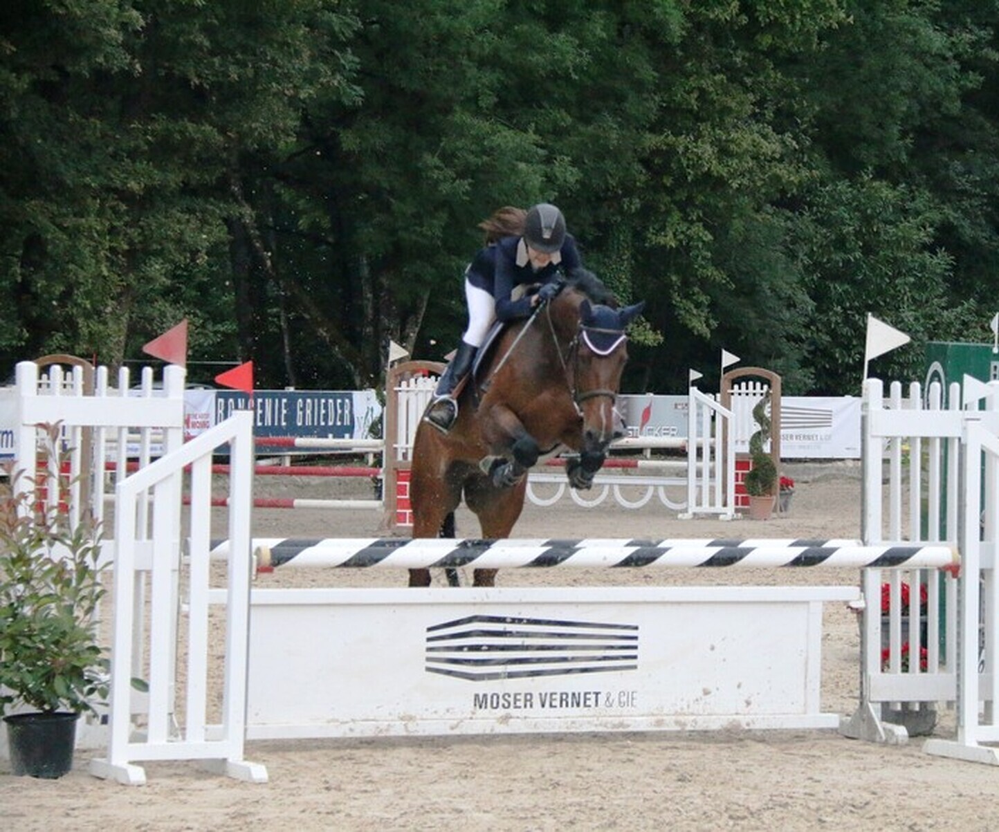 Description de l'image