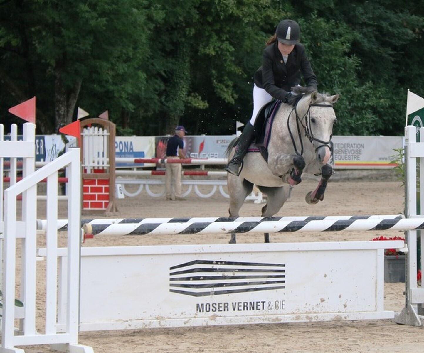 Description de l'image