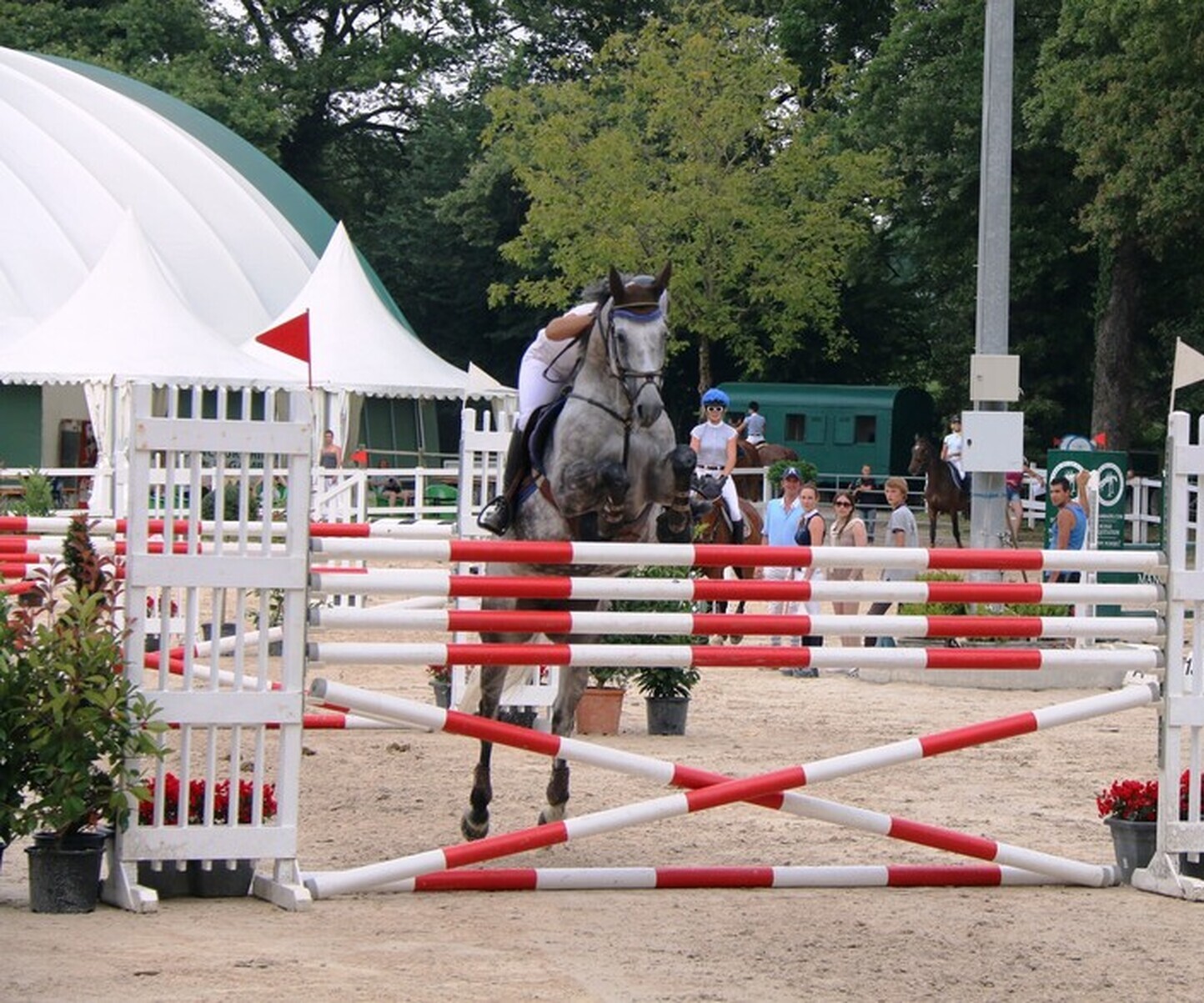 Description de l'image