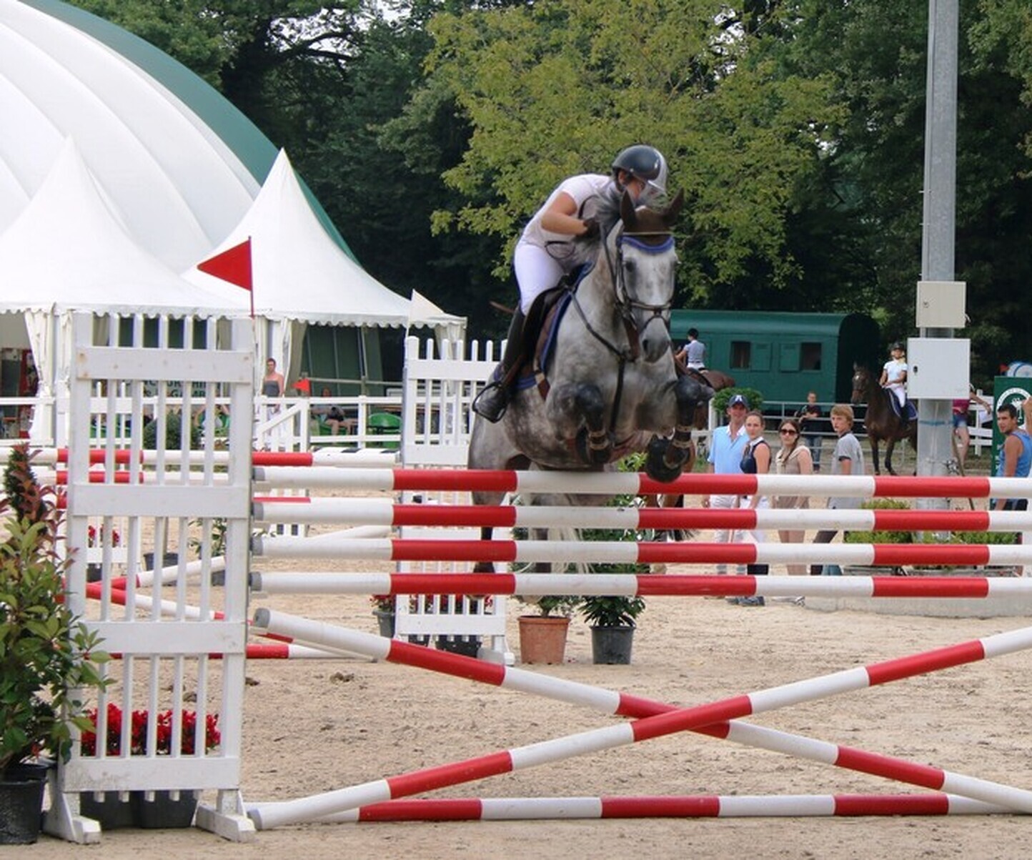 Description de l'image