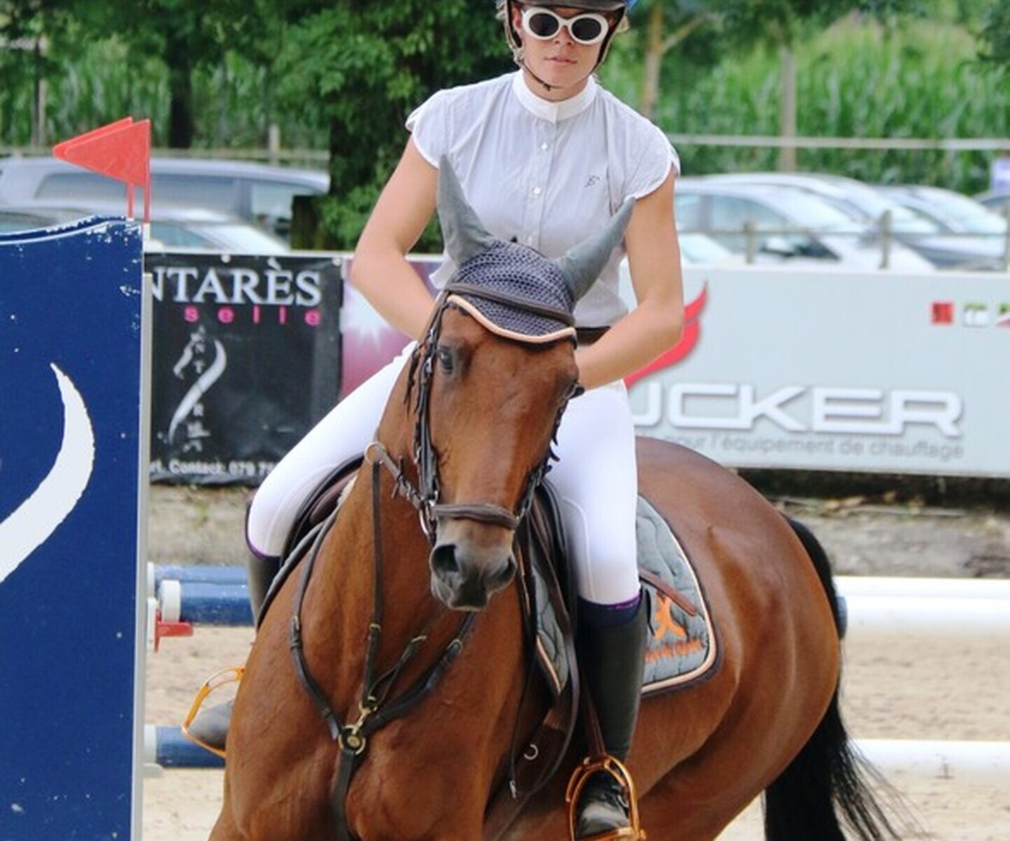 Description de l'image