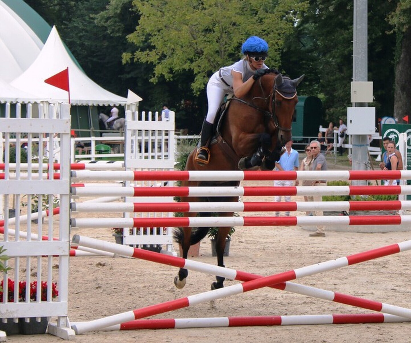 Description de l'image