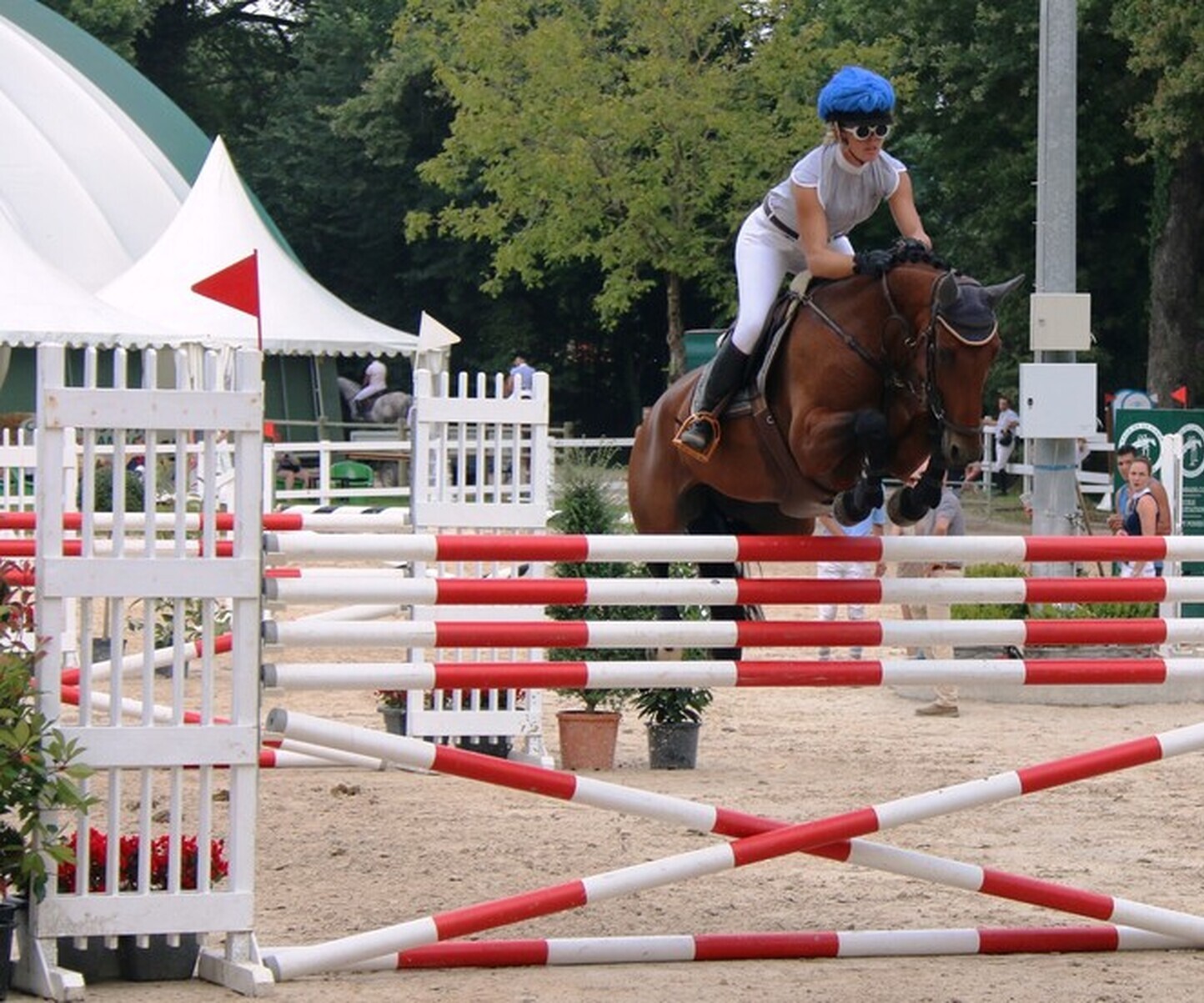 Description de l'image