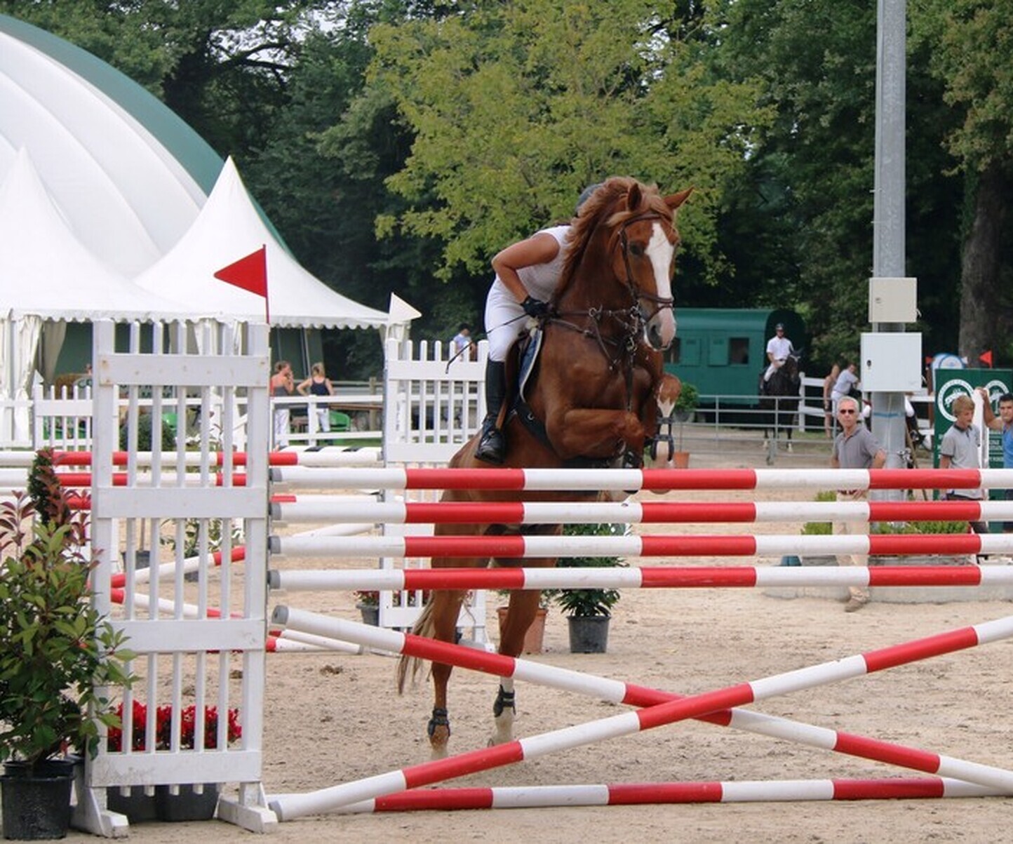 Description de l'image