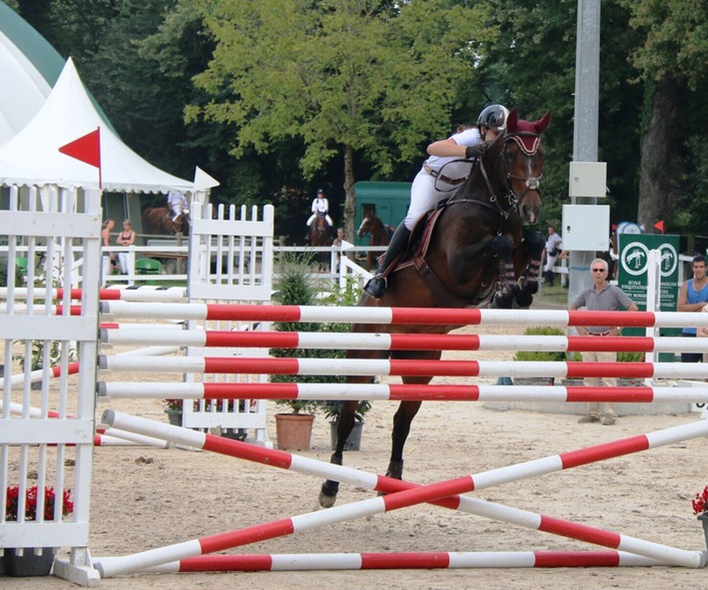 Description de l'image