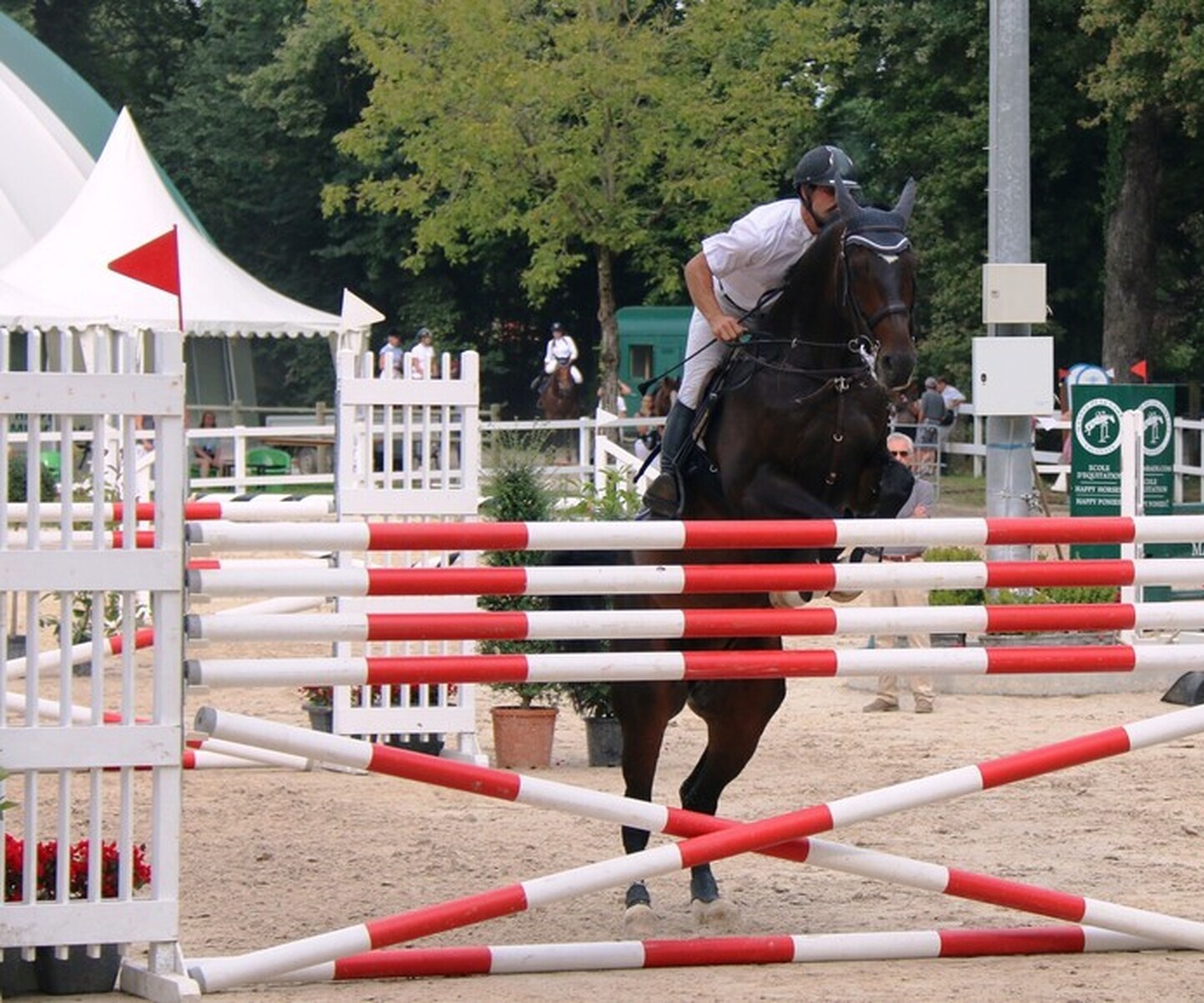 Description de l'image