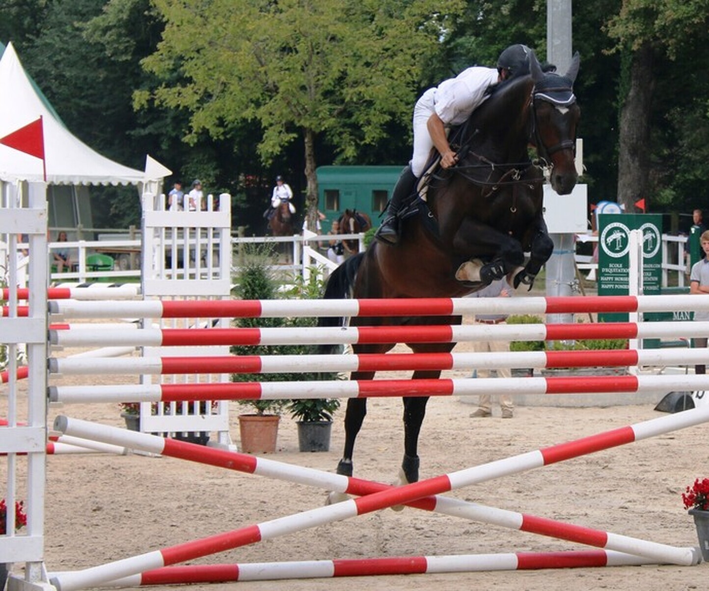 Description de l'image