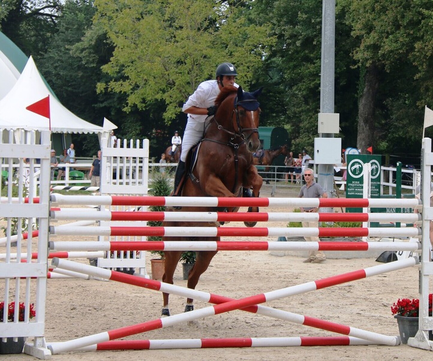 Description de l'image