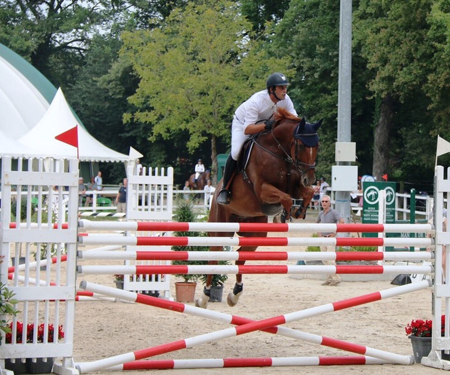 Description de l'image