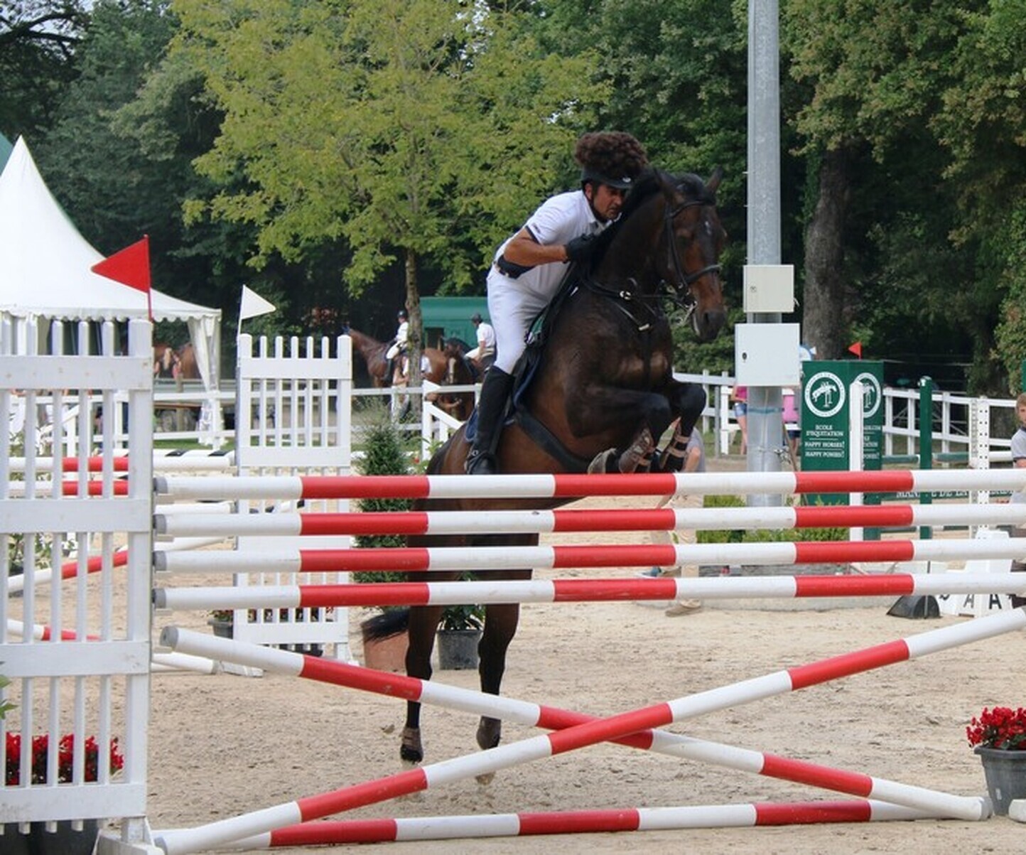 Description de l'image