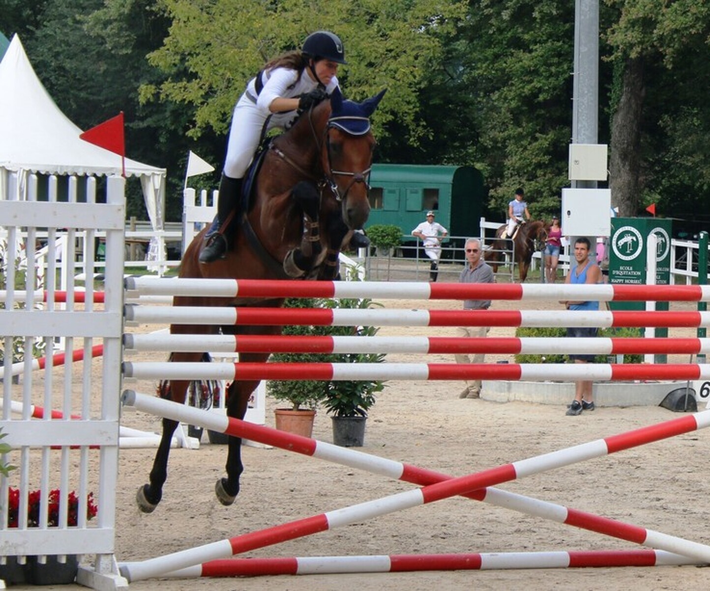 Description de l'image