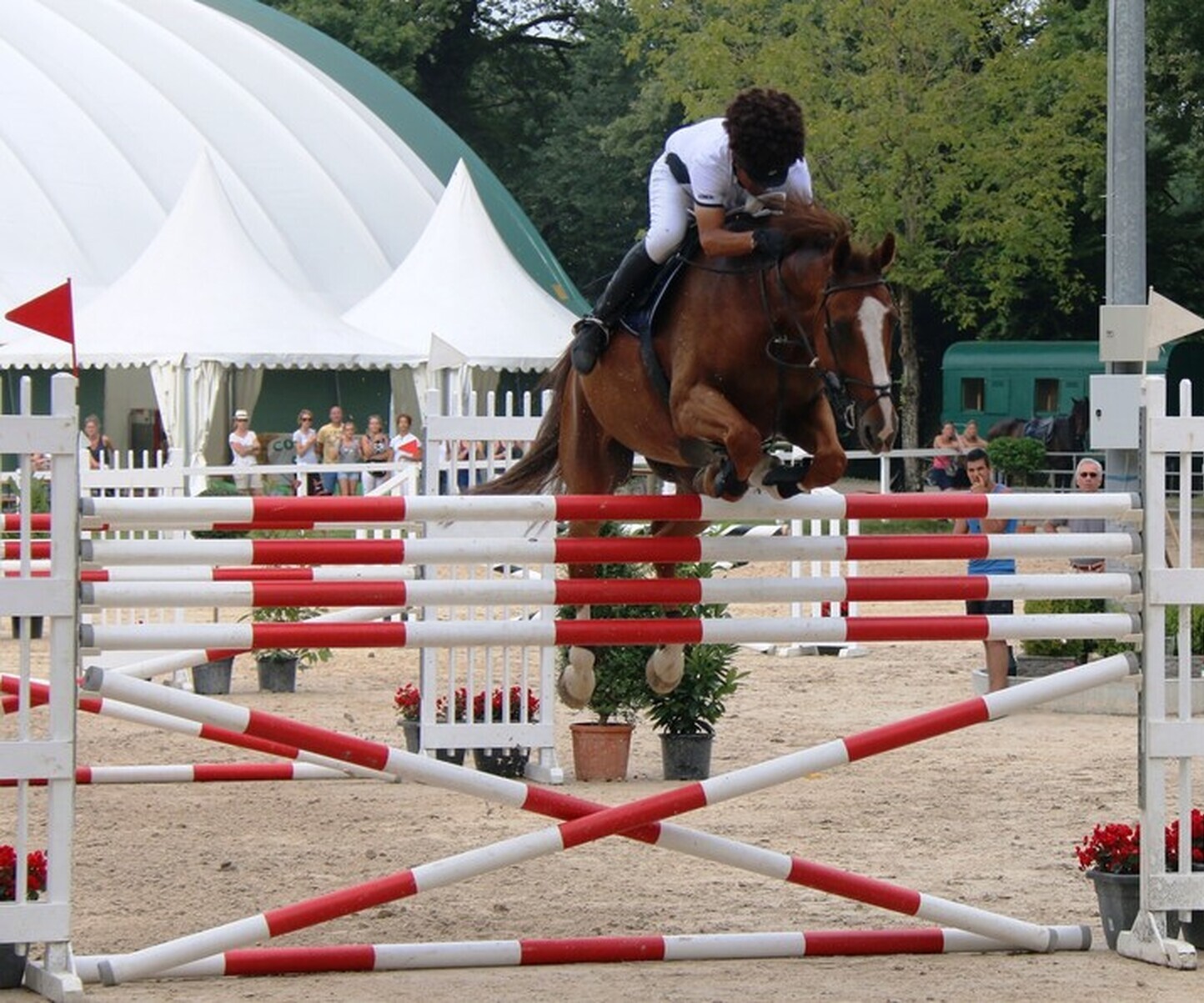 Description de l'image