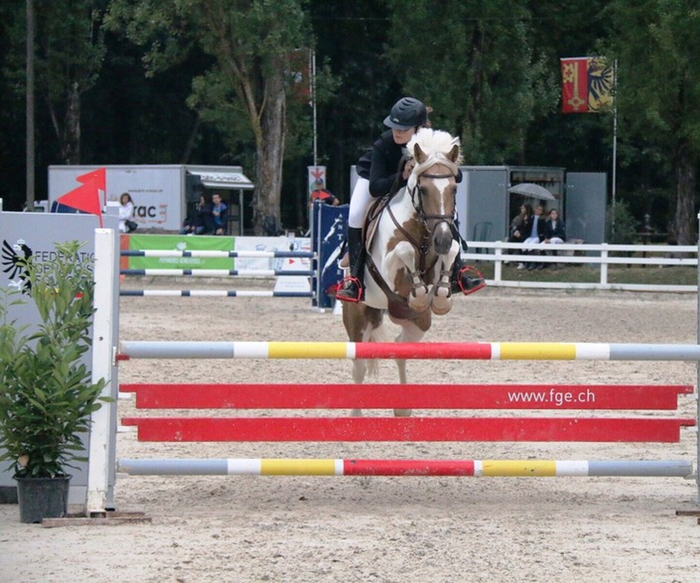 Description de l'image