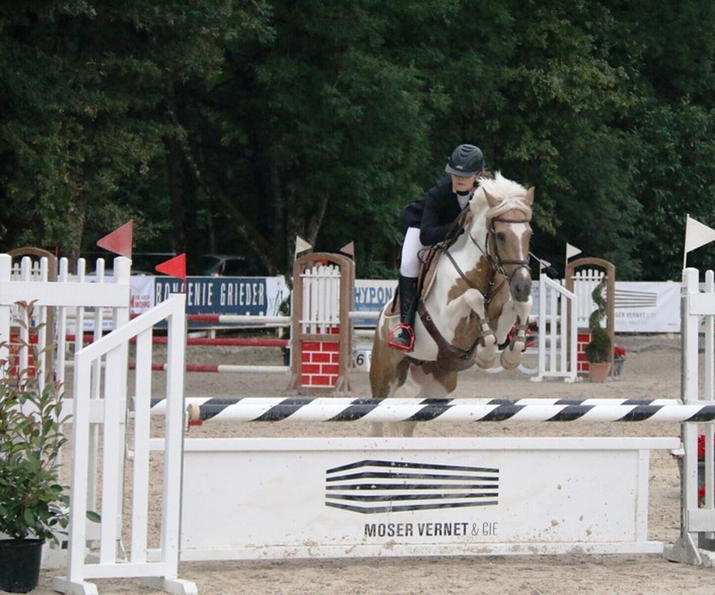 Description de l'image