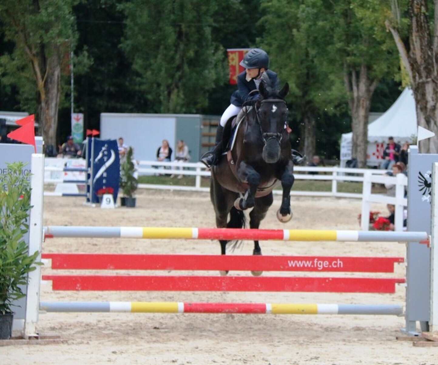 Description de l'image