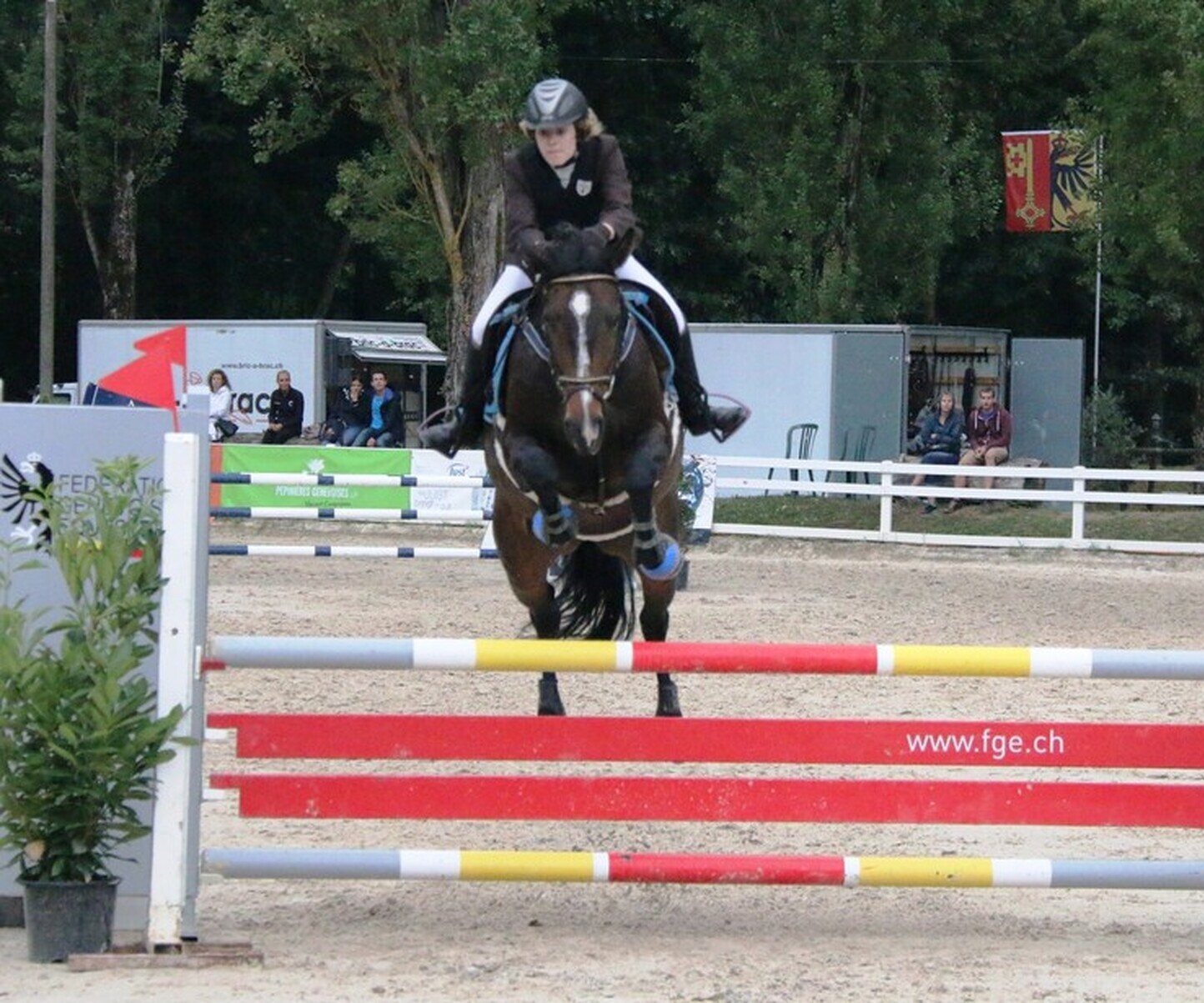 Description de l'image