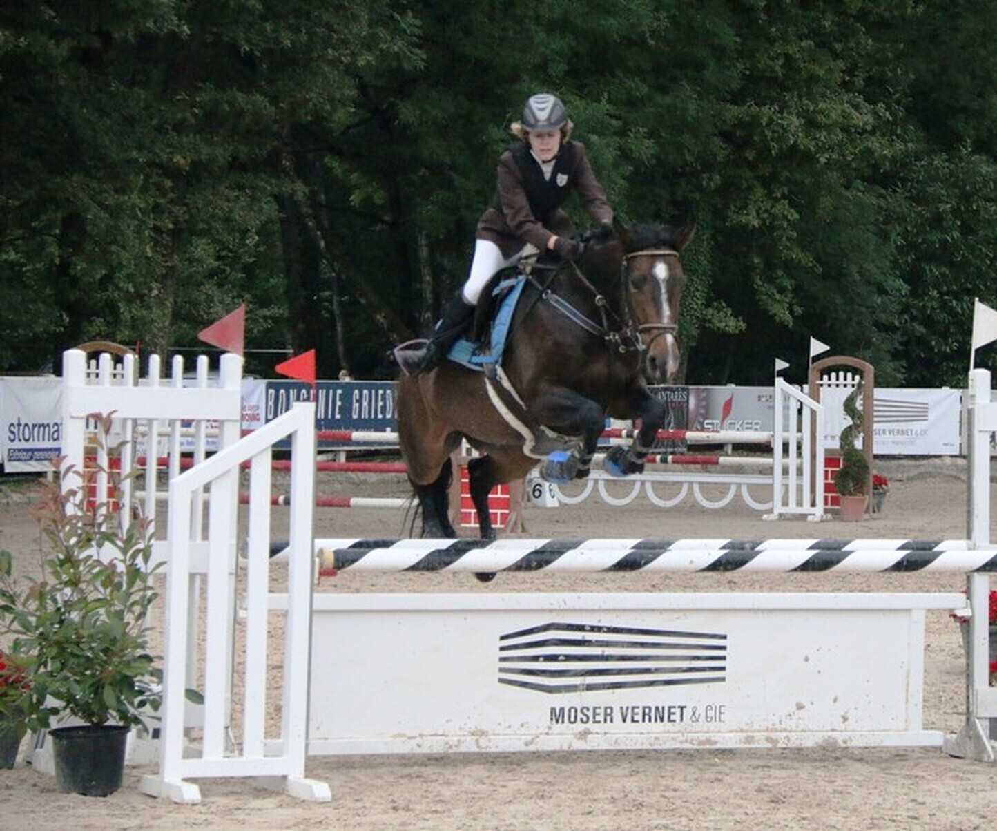 Description de l'image