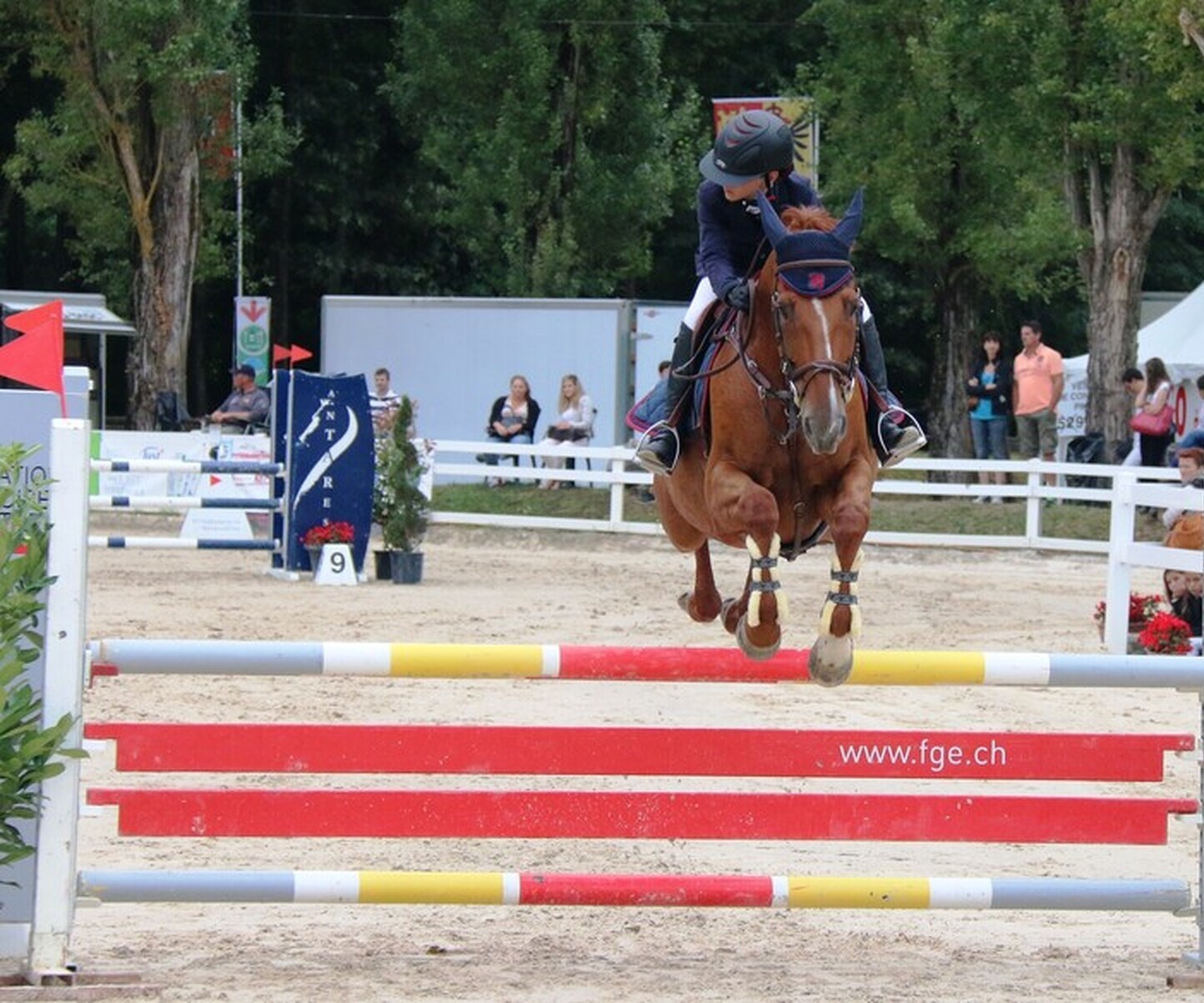 Description de l'image