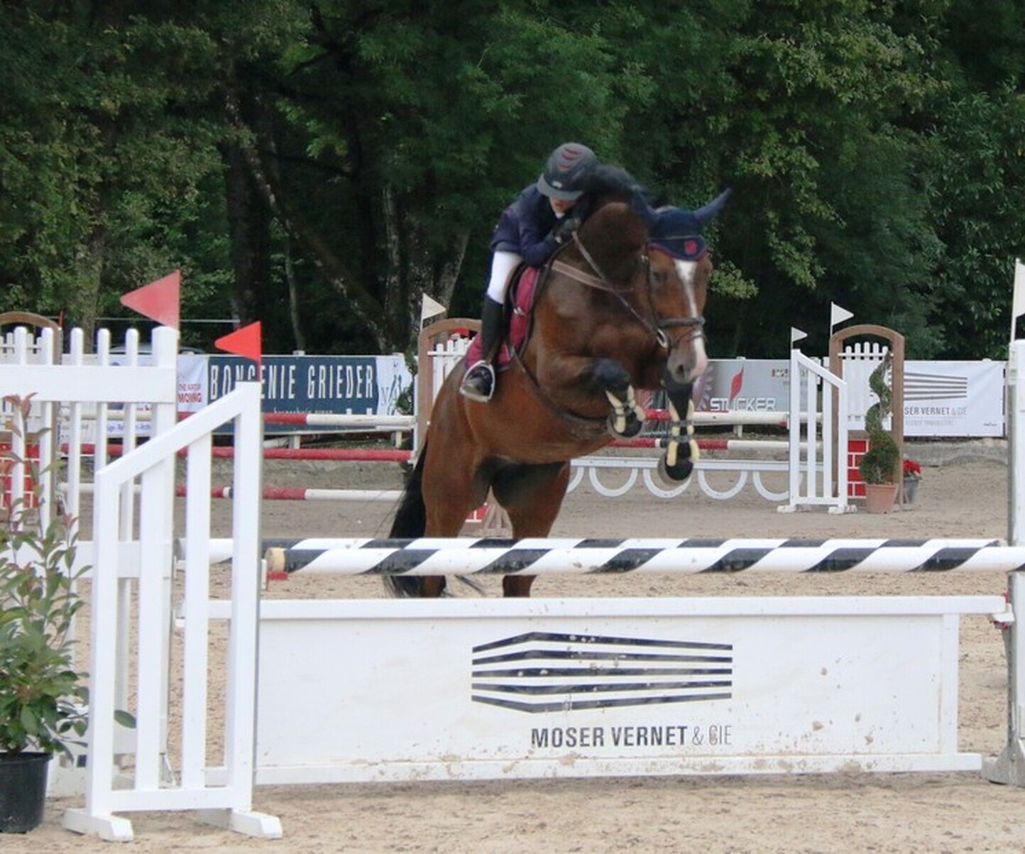 Description de l'image