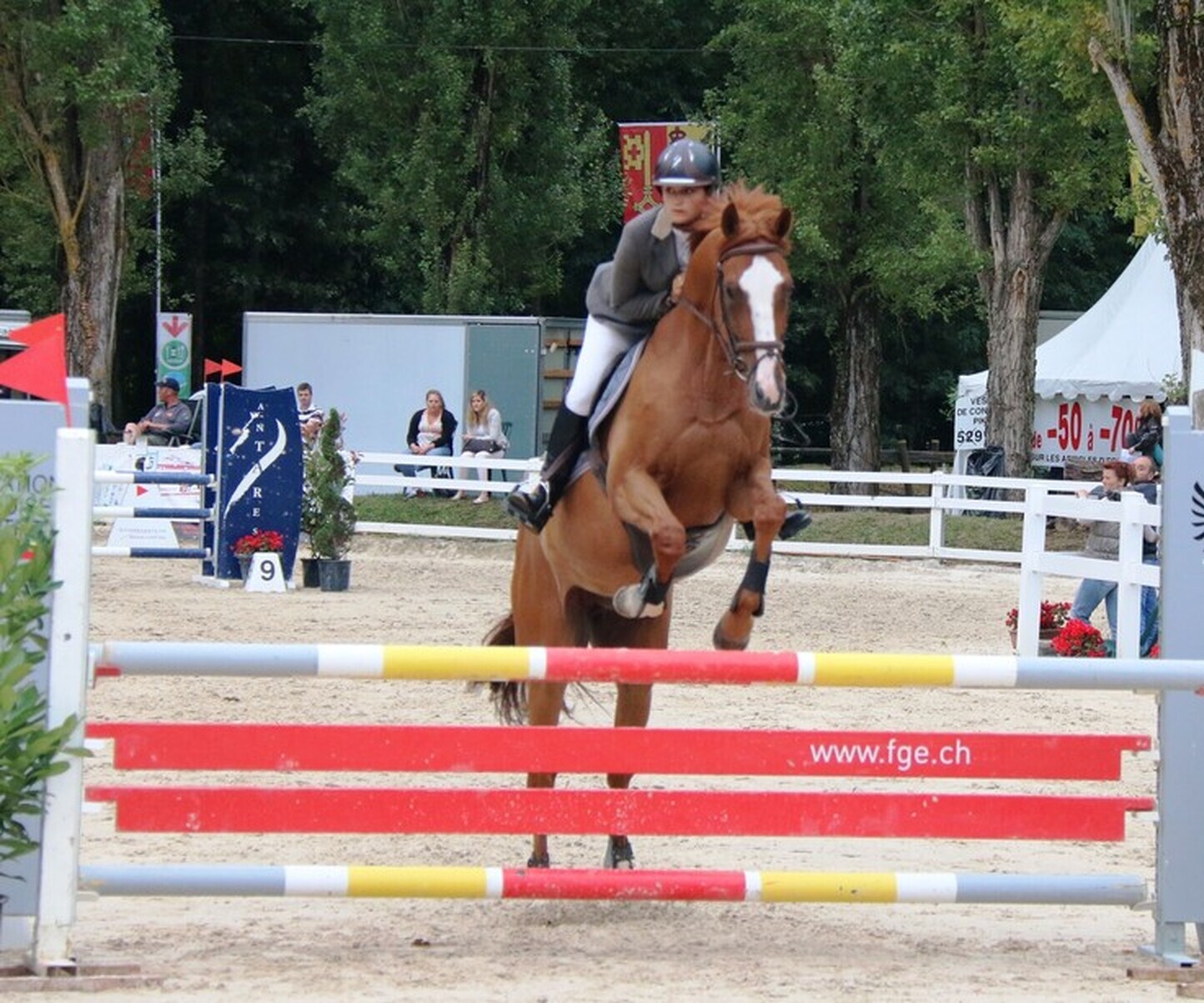 Description de l'image