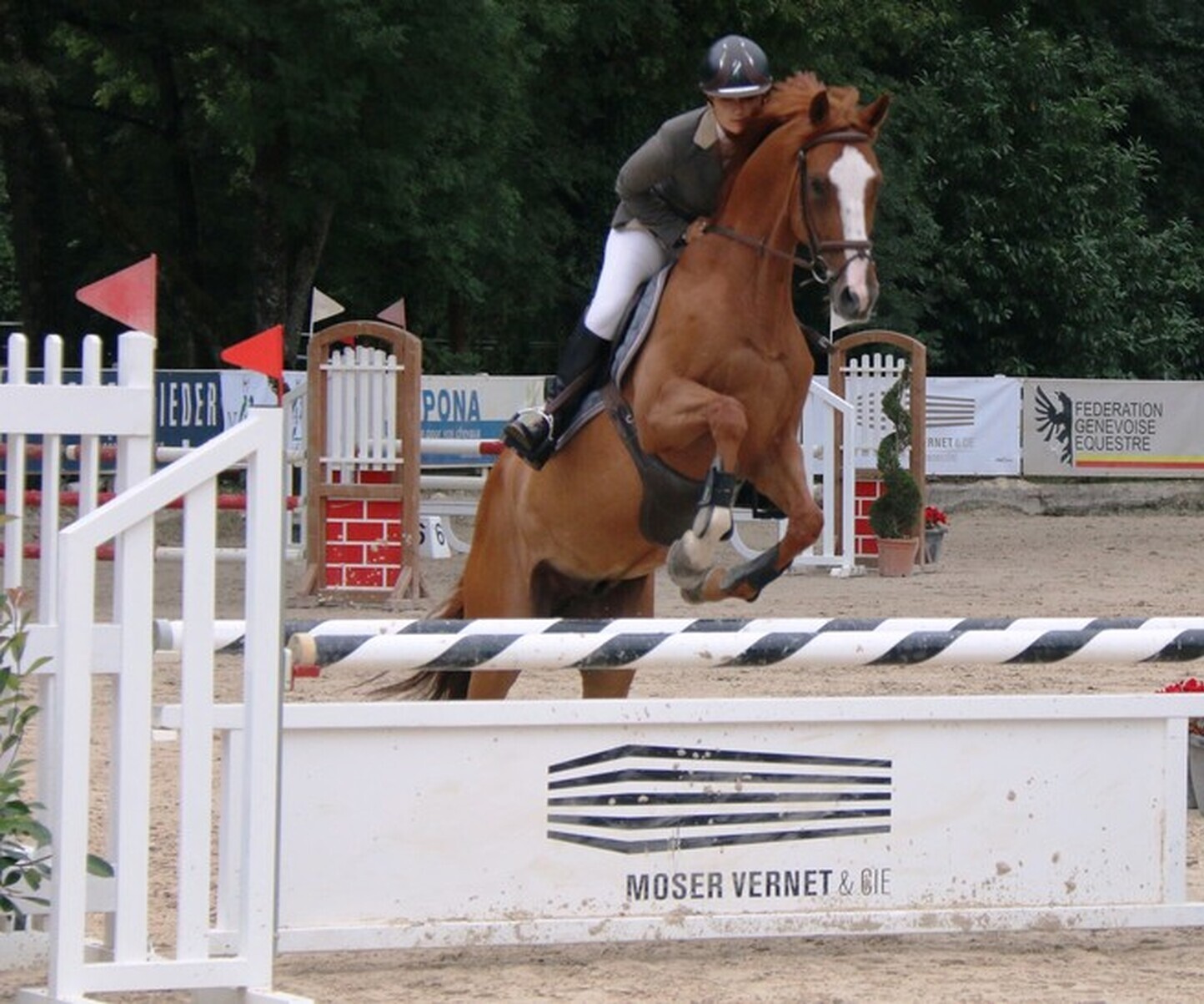 Description de l'image