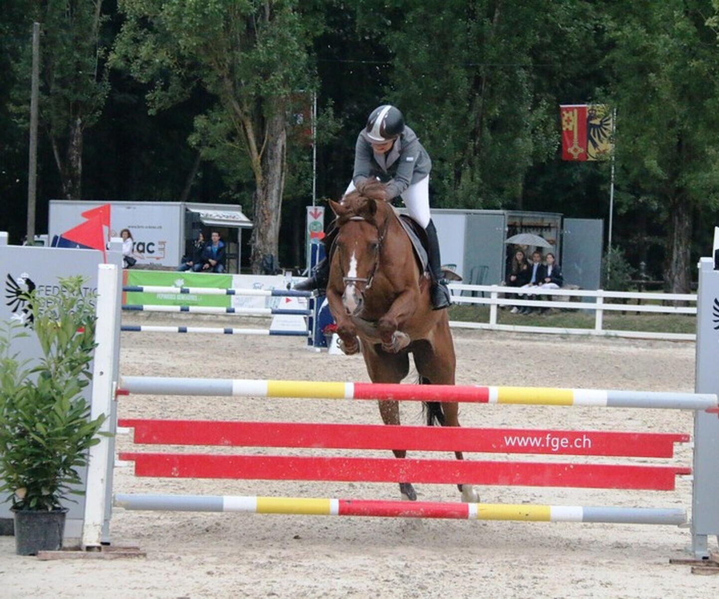 Description de l'image