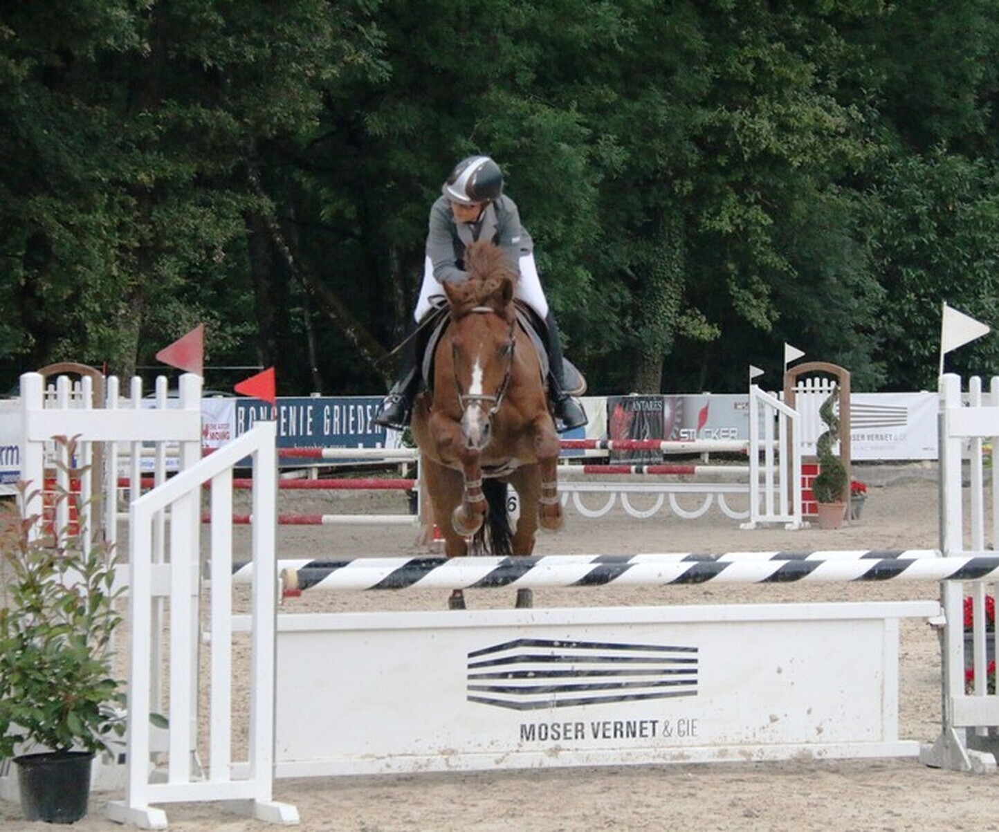 Description de l'image