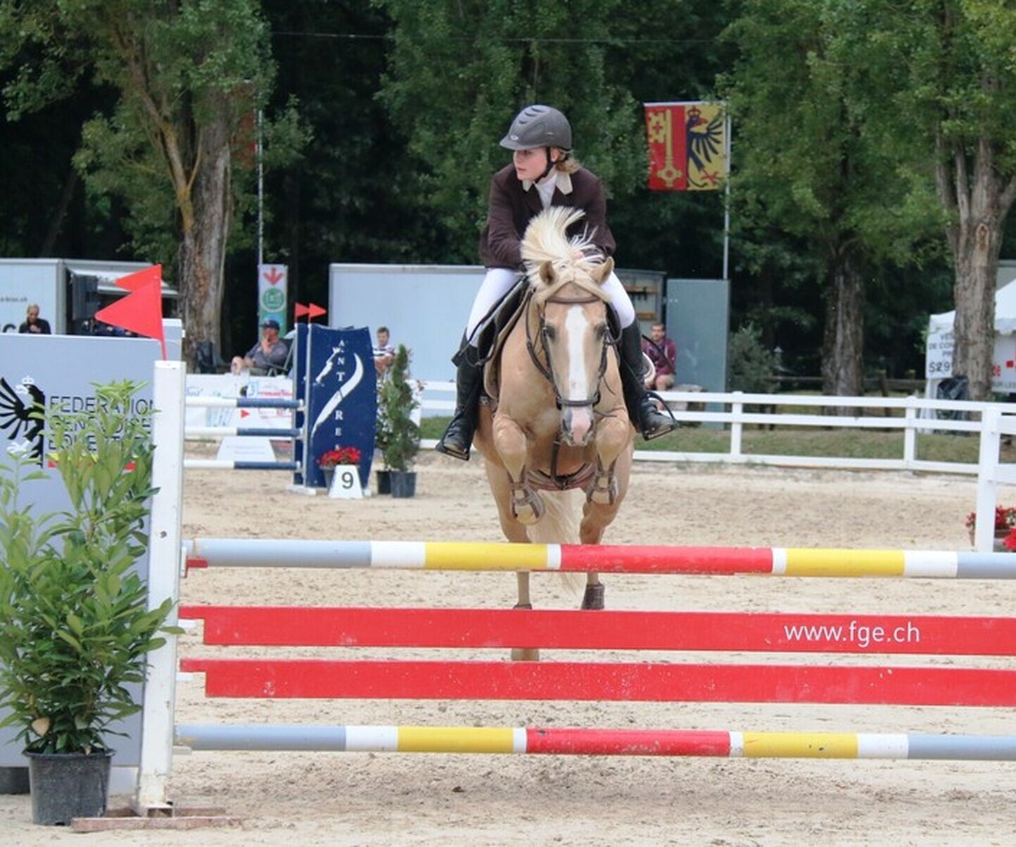 Description de l'image