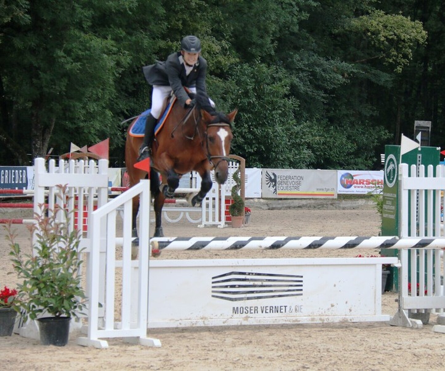 Description de l'image