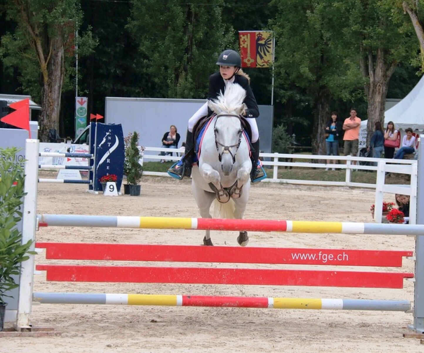 Description de l'image